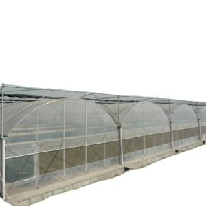 Buy cheap Double Layer PO Greenhouse Tunnel for Precise Temperature Control from wholesalers