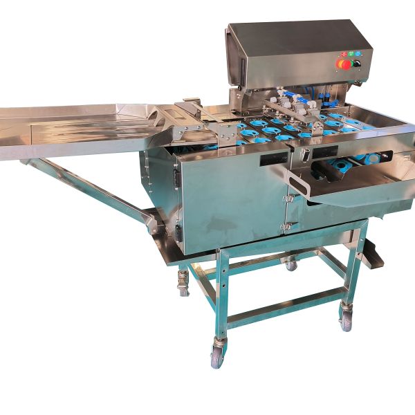 Quality Three Row Efficient Egg Knocking Machine & New Automatic Choice Of Egg White Egg Separator for sale