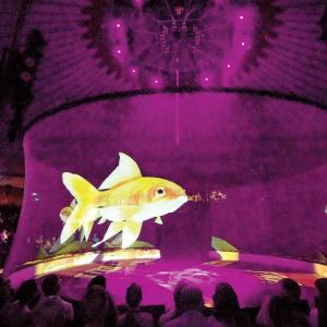 Buy cheap Holo Gauze Transparent Holographic Mesh Projection Screen For Holographic Circus from wholesalers