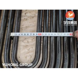 Seamless Stainless U Bend Tubes and Welded Stainless U Bend Tube